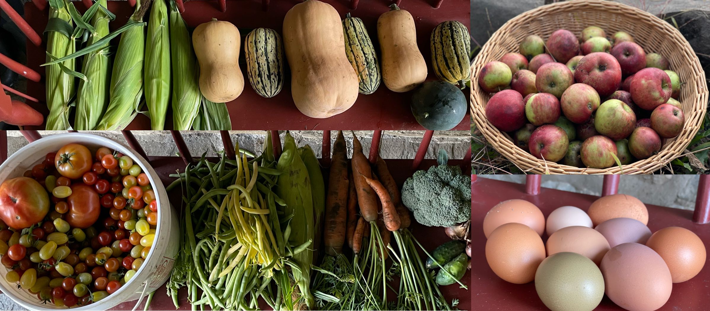 Farm harvest — fresh vegetables, eggs, and orchard fruit
